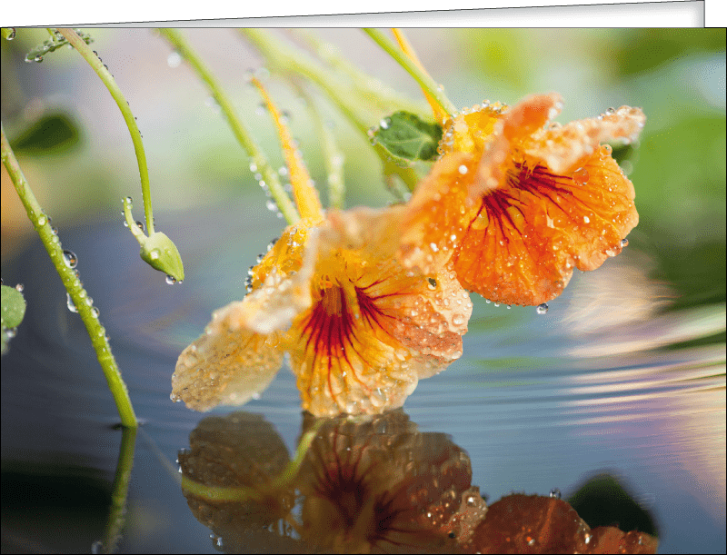 Produkbild
