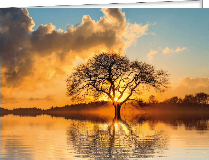 Produkbild
