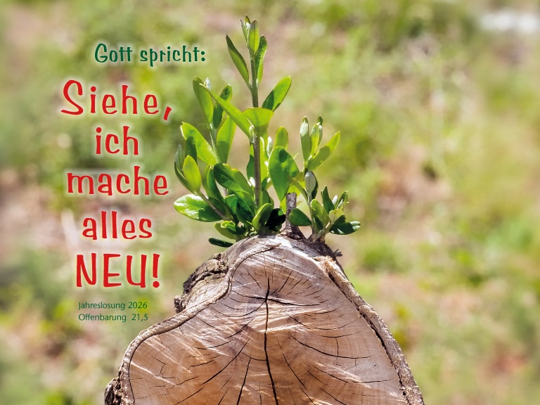 Sliderbild 2