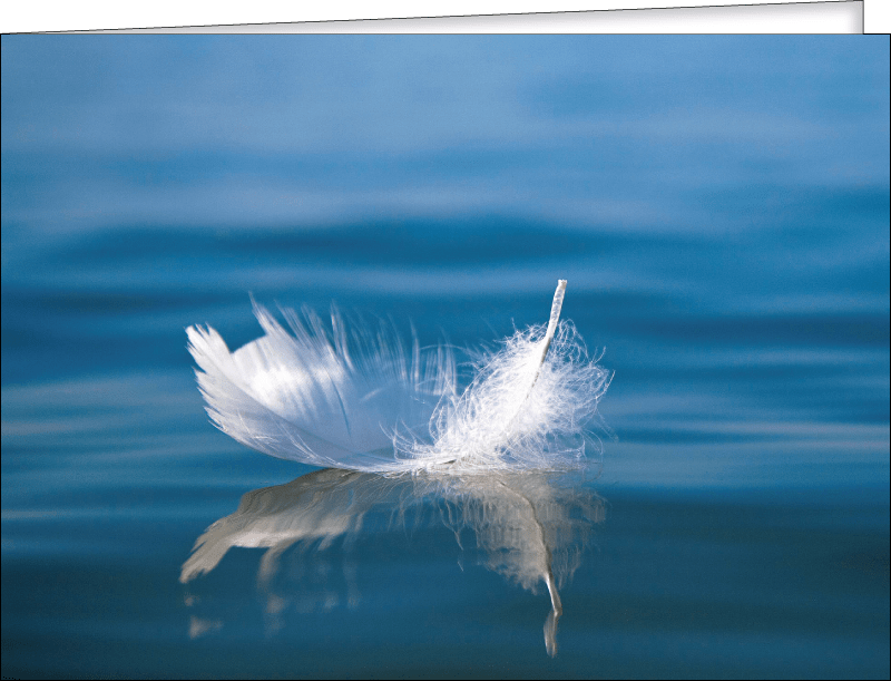 Produkbild