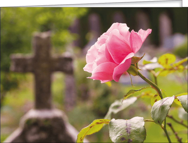 Produkbild