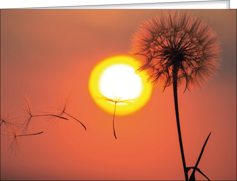 Produkbild